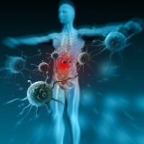 Immune Support